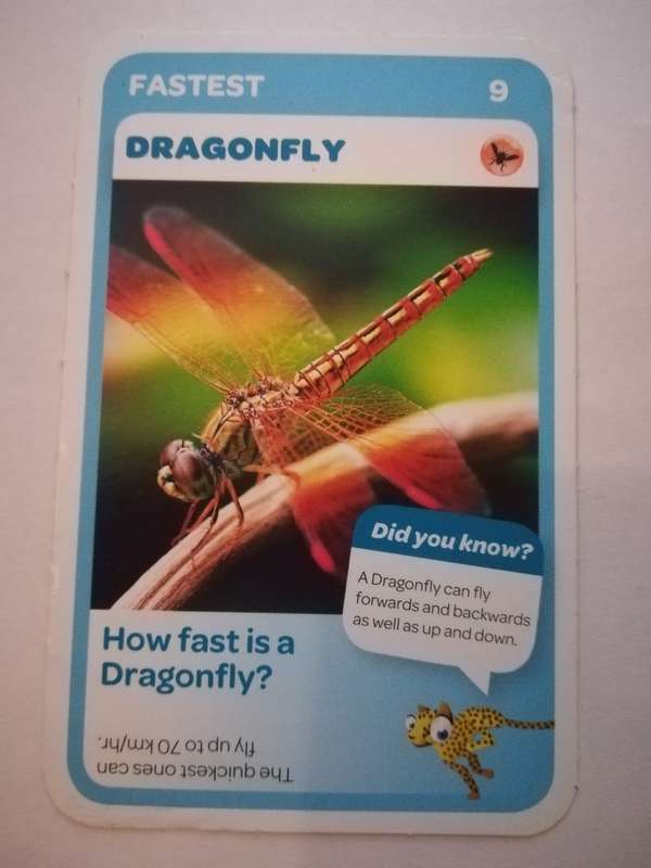 Pick n Pay South African Super Animals (Blue) - Card 9 - Dragonfly