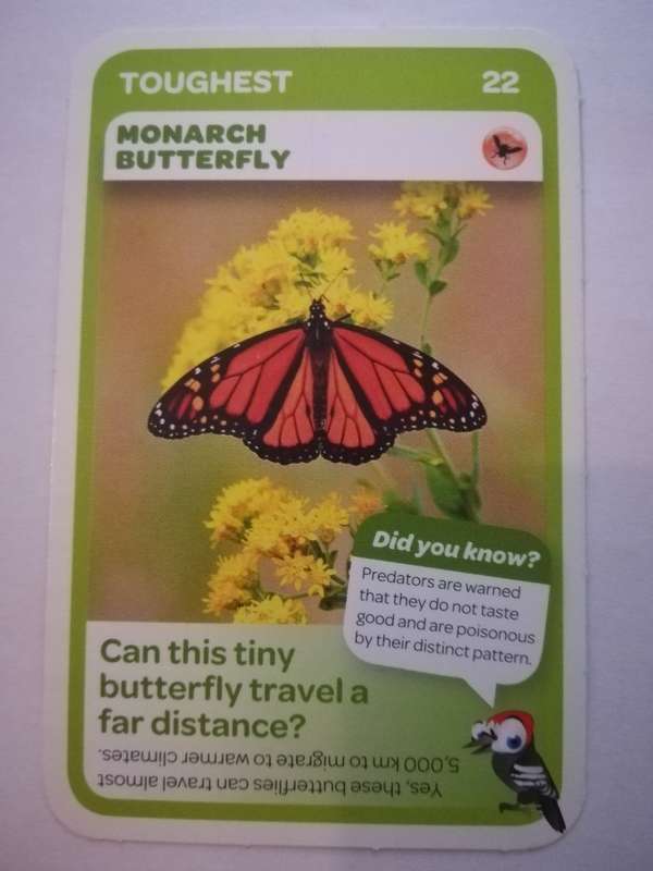 Pick n Pay South African Super Animals (Blue) - Card 22 - Monarch Butterfly