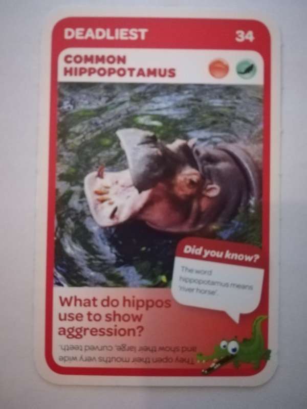 Pick n Pay South African Super Animals (Blue) - Card 34 - Common Hippopotamus