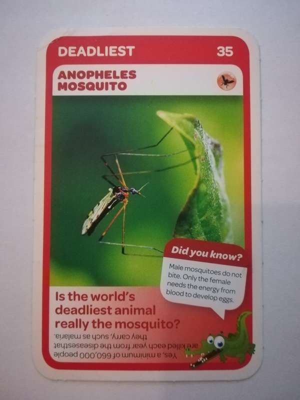 Pick n Pay South African Super Animals (Blue) - Card 35 - Anopheles Mosquito