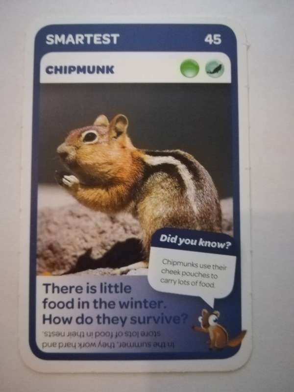 Pick n Pay South African Super Animals (Blue) - Card 45 - Chipmunk
