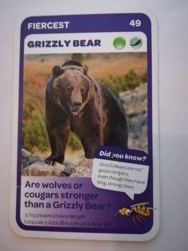 Pick n Pay South African Super Animals (Blue) - Card 49 - Grizzly Bear