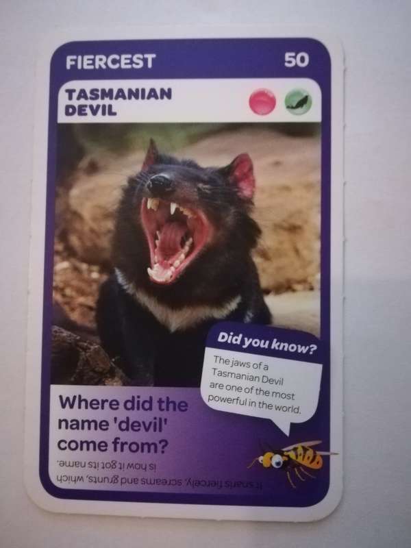 Pick n Pay South African Super Animals (Blue) - Card 50 - Tasmanian Devil