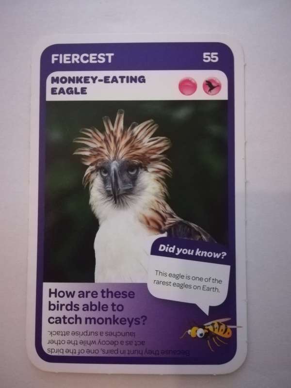 Pick n Pay South African Super Animals (Blue) - Card 55 - Monkey-Eating Eagle