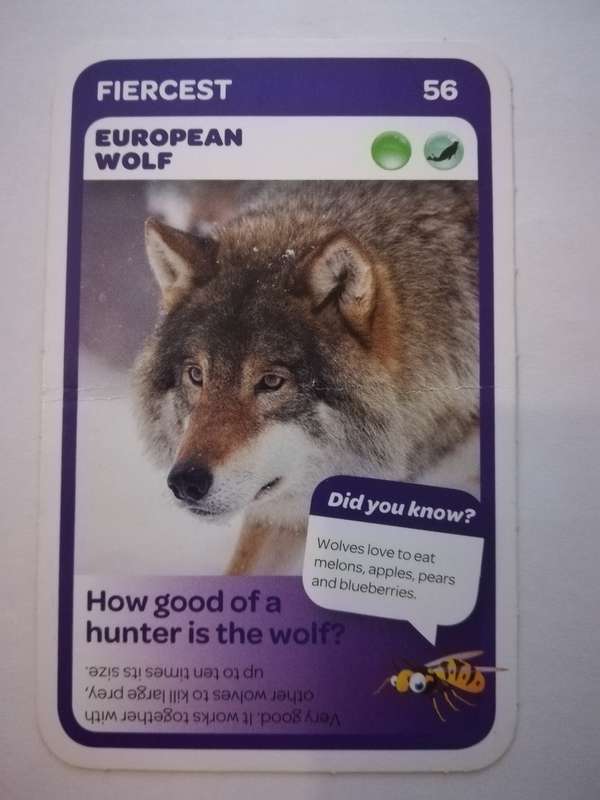 Pick n Pay South African Super Animals (Blue) - Card 56 - European Wolf