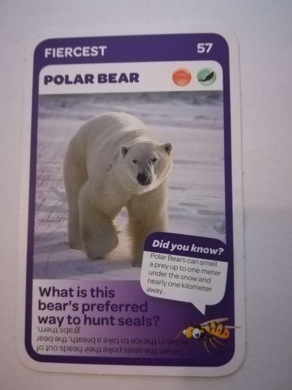 Pick n Pay South African Super Animals (Blue) - Card 57 - Polar Bear