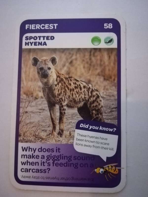 Pick n Pay South African Super Animals (Blue) - Card 58 - Spotted Hyena