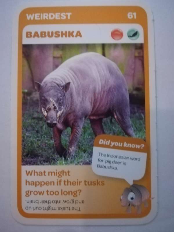 Pick n Pay South African Super Animals (Blue) - Card 61 - Babushka