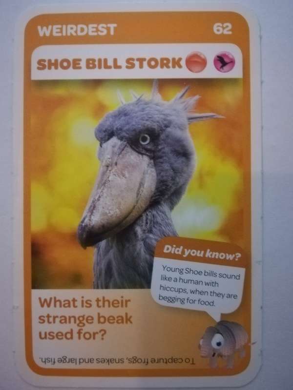 Pick n Pay South African Super Animals (Blue) - Card 62 - Shoe Bill Stork