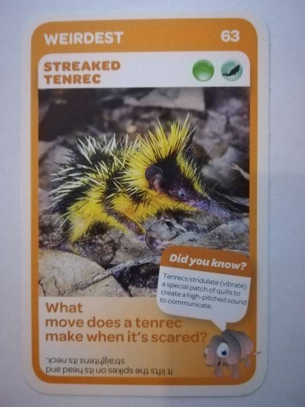 Pick n Pay South African Super Animals (Blue) - Card 63 - Streaked Tenrec