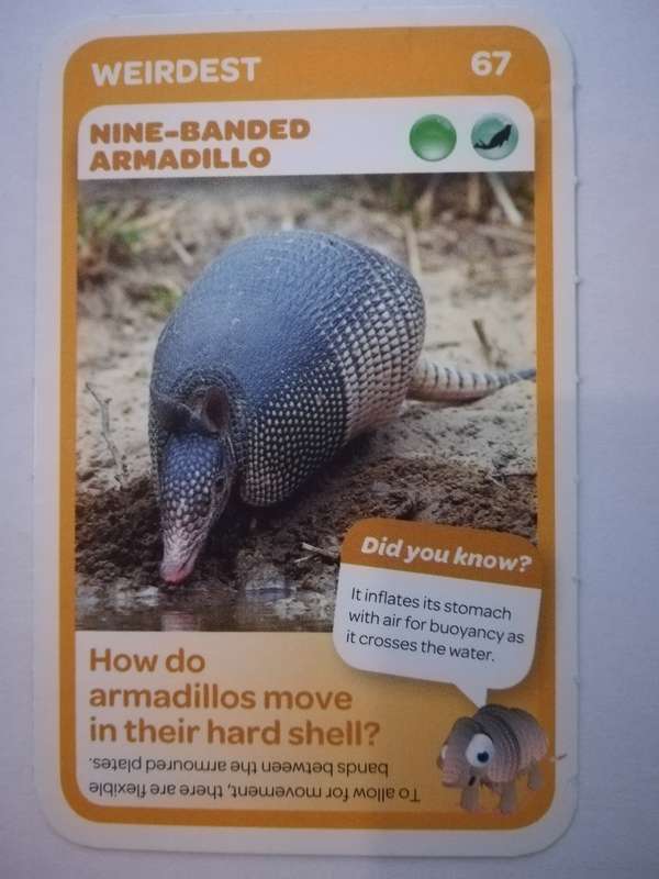 Pick n Pay South African Super Animals (Blue) - Card 67 - Nine-Banded Armadillo