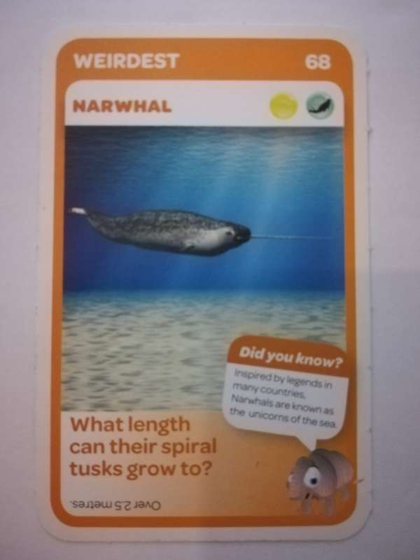 Pick n Pay South African Super Animals (Blue) - Card 68 - Narwhal