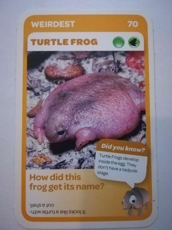 Pick n Pay South African Super Animals (Blue) - Card 70 - Turtle Frog