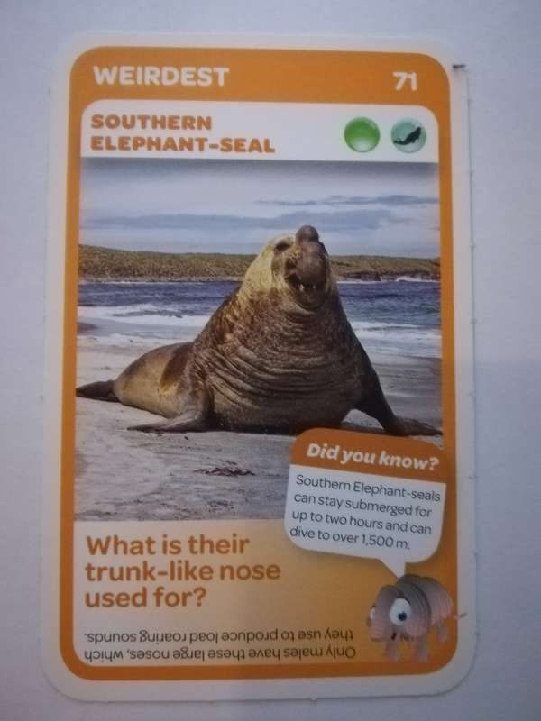 Pick n Pay South African Super Animals (Blue) - Card 71 - Southern Elephant - Seal