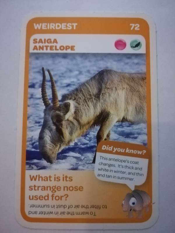 Pick n Pay South African Super Animals (Blue) - Card 72 - Saiga Antelope