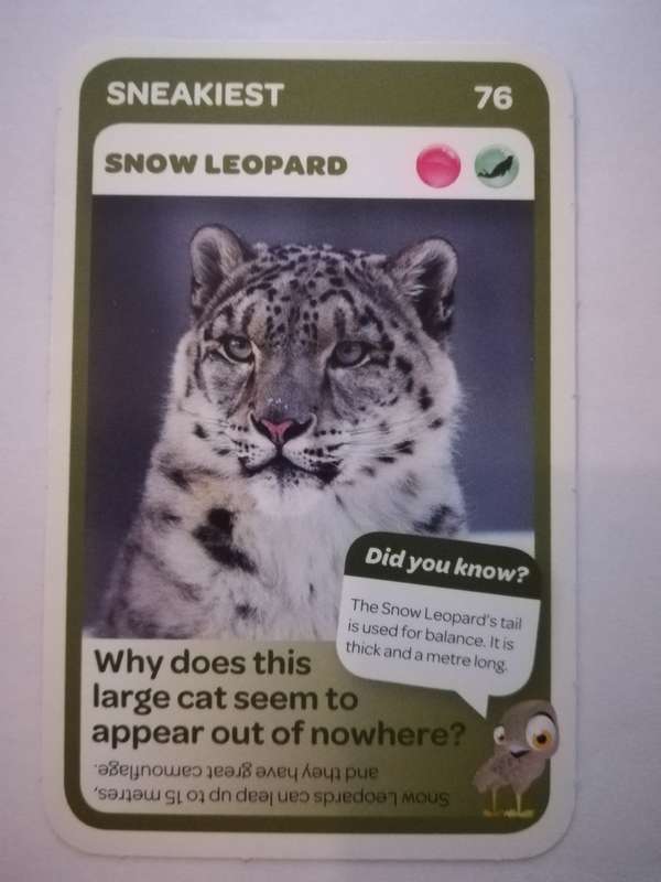 Pick n Pay South African Super Animals (Blue) - Card 76 - Snow Leopard