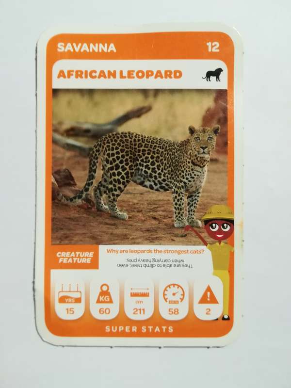 Pick n Pay South African Super Animals (Blue) - Card 78 - African Leopard