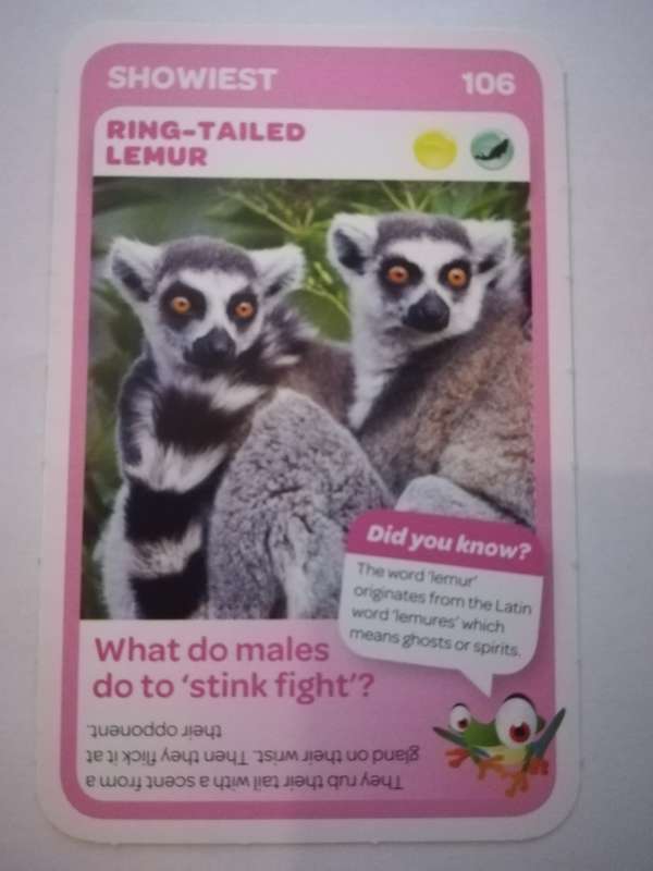 Pick n Pay South African Super Animals (Blue) - Card 106 - Ring - Tailed Lemur