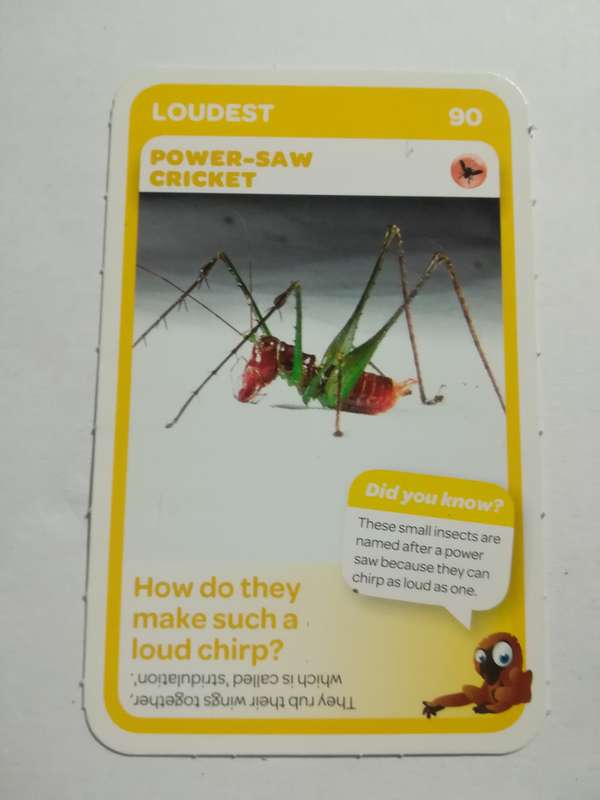 Pick n Pay South African Super Animals (Blue) - Card 90 - Power-Saw Cricket