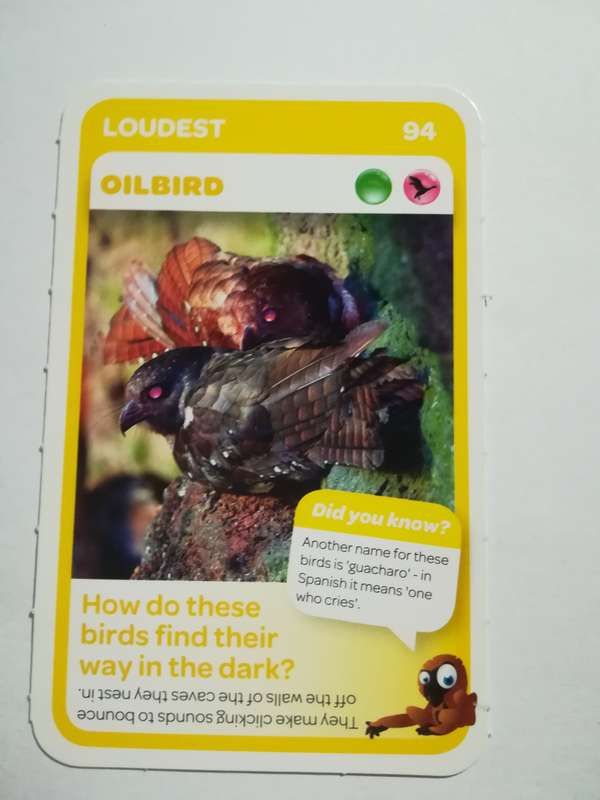 Pick n Pay South African Super Animals (Blue) - Card 94 - Oilbird