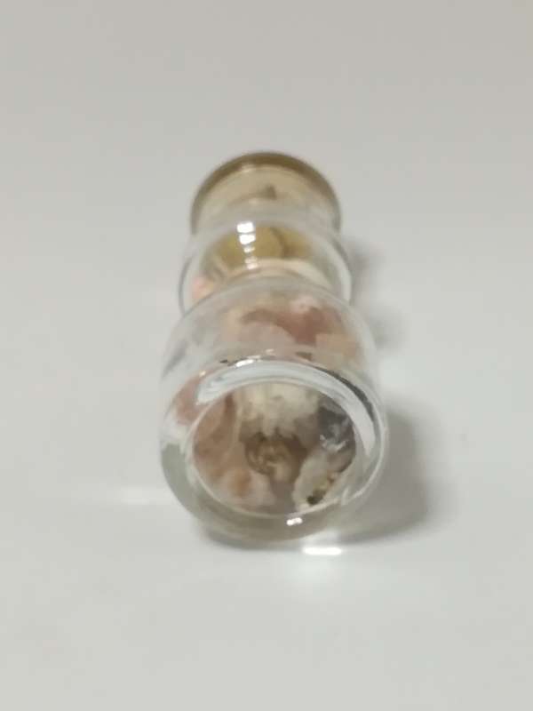 Miniature Bottle with Mini Shells & Cork Lid (Miniature, suitable for printer's tray)