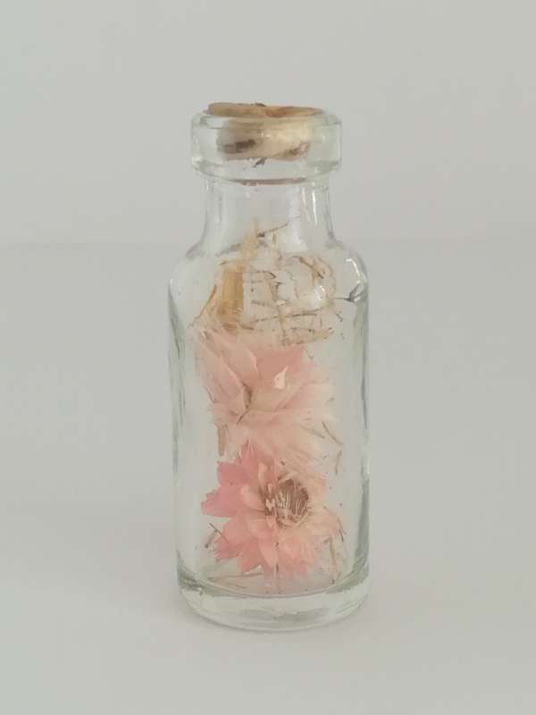 Miniature Bottle Glass Flowers Inside (Miniature, suitable for printer's tray)