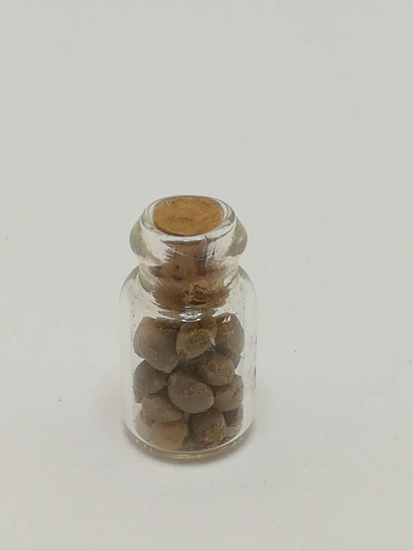 Miniature Glass Bottle Seeds (Miniature, suitable for printer's tray)