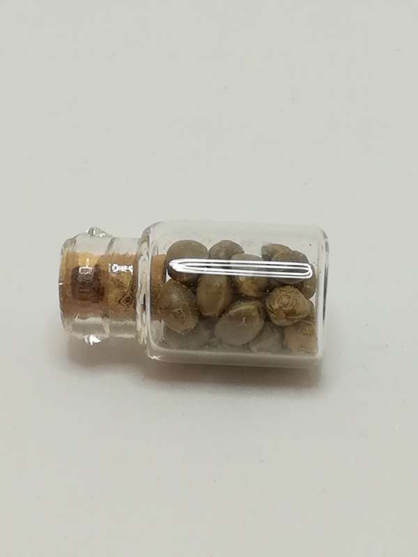Miniature Glass Bottle Seeds (Miniature, suitable for printer's tray)