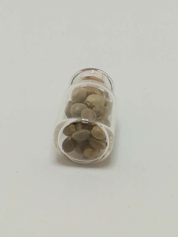 Miniature Glass Bottle Seeds (Miniature, suitable for printer's tray)