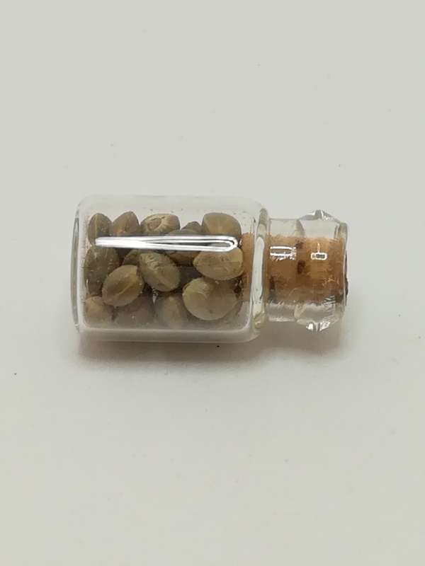 Miniature Glass Bottle Seeds (Miniature, suitable for printer's tray)