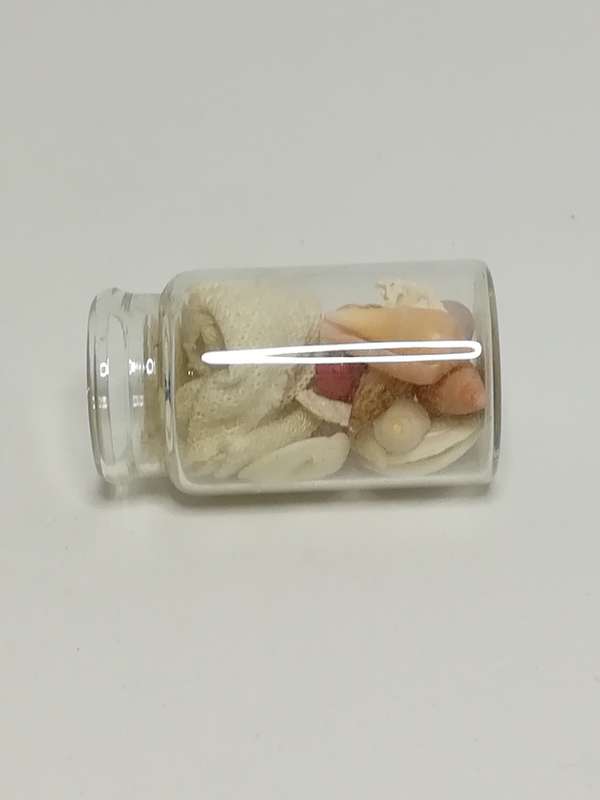 Miniature Bottle Colourful Shells (Miniature, suitable for printer's tray)