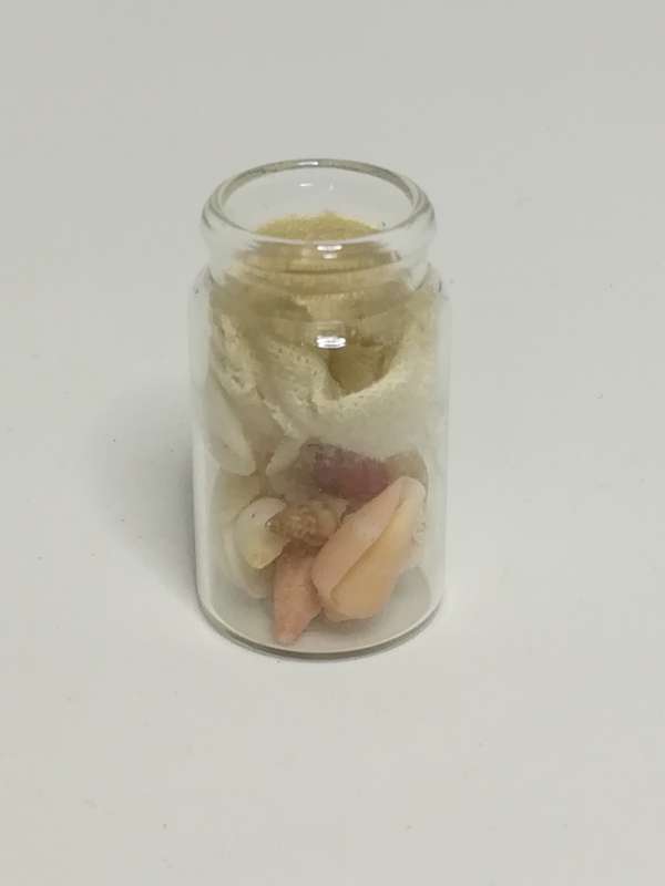 Miniature Bottle Colourful Shells (Miniature, suitable for printer's tray)