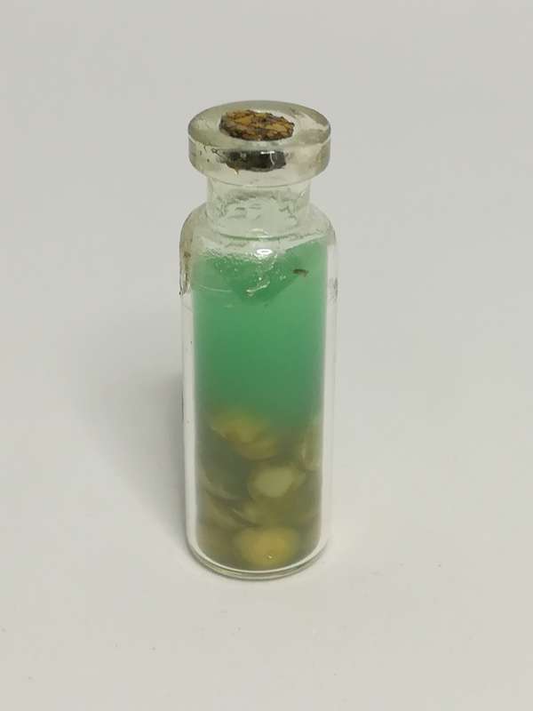 Miniature Bottle Homemade Fig Preserve (Miniature, suitable for printer's tray)