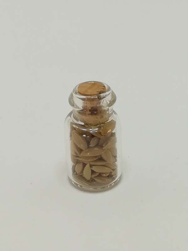Miniature Glass Bottle Seeds (Miniature, suitable for printer's tray)