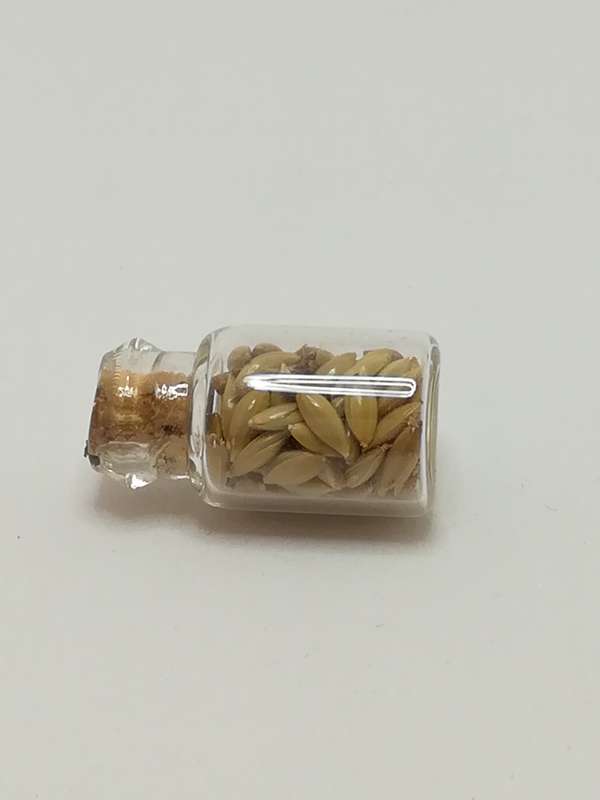 Miniature Glass Bottle Seeds (Miniature, suitable for printer's tray)