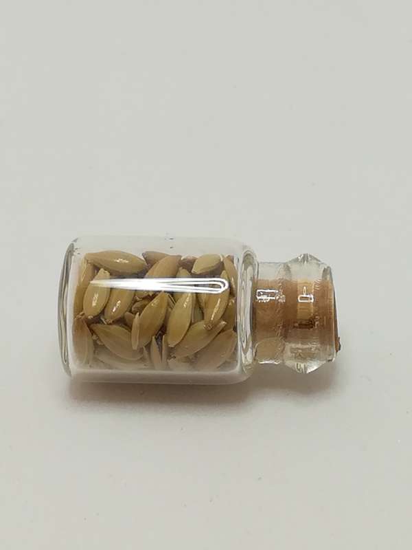 Miniature Glass Bottle Seeds (Miniature, suitable for printer's tray)