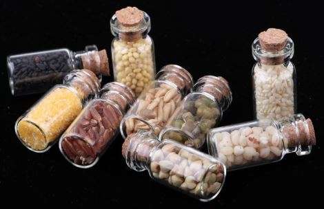 Miniature Glass Jar with Seeds (9 Jars) (Miniature, suitable for printer's tray)