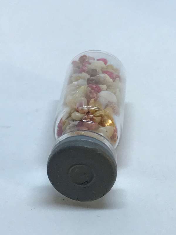 Miniature Shells in Jar - Tiny (Miniature, suitable for printer's tray)