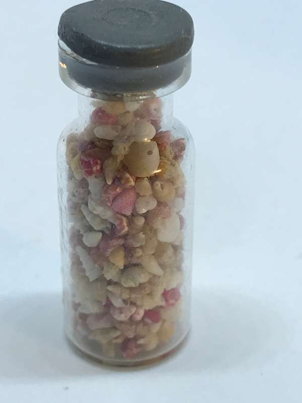 Miniature Shells in Jar - Tiny (Miniature, suitable for printer's tray)