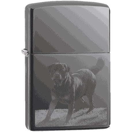 Zippo - Rottweiler