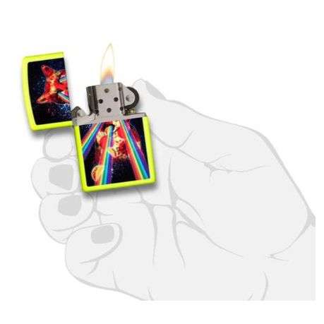 Zippo Lighter - Pizza Cat Design