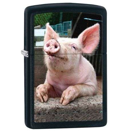 Zippo Lighter - 218 Pig Dreaming