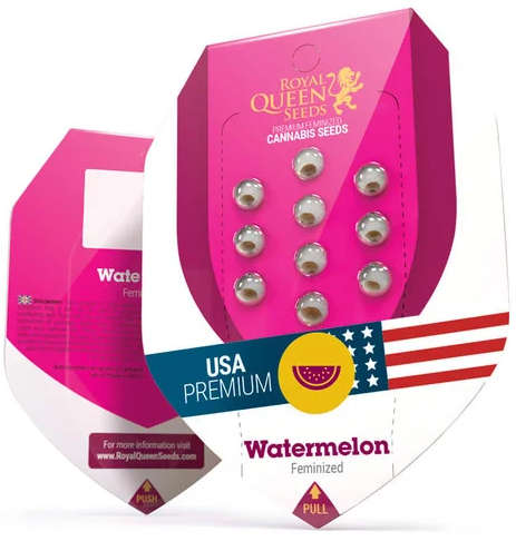 Royal Queen Seeds - Watermelon - Cannabis Breeders Pack - Feminized Cannabis Seeds