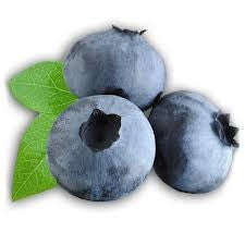 Northern Highbush Blueberry - Fruit Shrub / Tree - Vaccinium Corymbosum - 10 Seeds