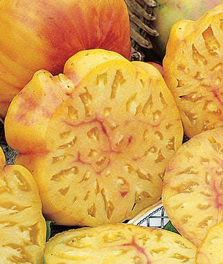 Big Rainbow Tomato - Lycopersicon Esculentum - Heirloom Vegetable - 10 Seeds