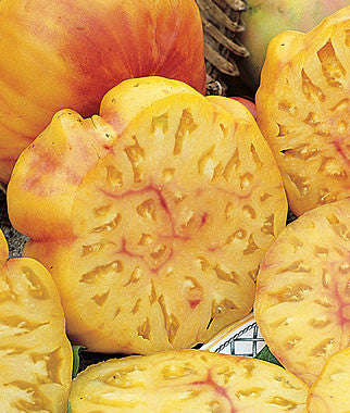 Big Rainbow Tomato - Lycopersicon Esculentum - Heirloom Vegetable - 10 Seeds