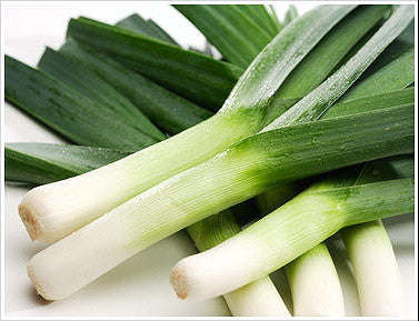 Carentan Leek - Allium ampelloprasum - French Heirloom Vegetable - 200 Seeds