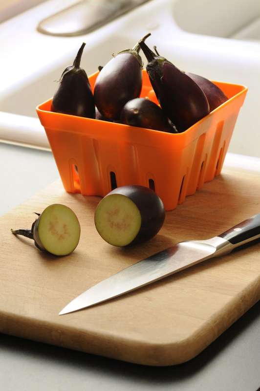 Patio Baby Eggplant - Solanum melongena - 5 Seeds - The Patio Vegetable Collection