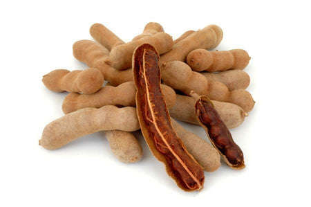 Tamarind  Tamarindus Indica - Fruit Tree - Edible Fruit / Bonsai - 5 Seeds