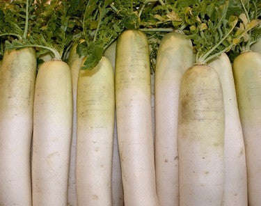 Snow White Carrot - Heirloom Vegetable - 100 Seeds